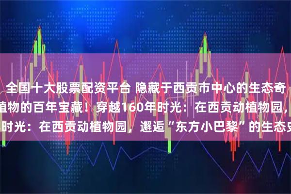 全国十大股票配资平台 隐藏于西贡市中心的生态奇境：探秘拥有1800种植物的百年宝藏！穿越160年时光：在西贡动植物园，邂逅“东方小巴黎”的生态史诗